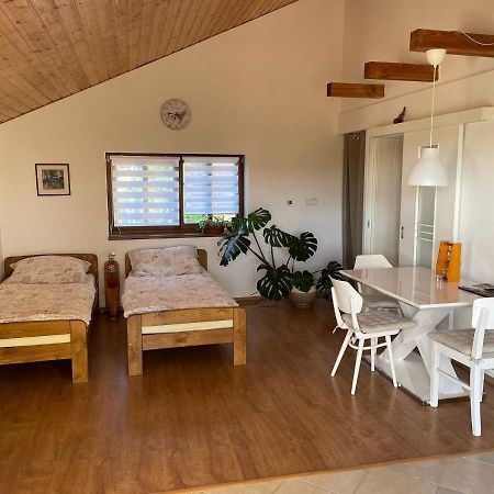 Apartman V Podhuri Jizerskych Hor Zelezny Brod 外观 照片