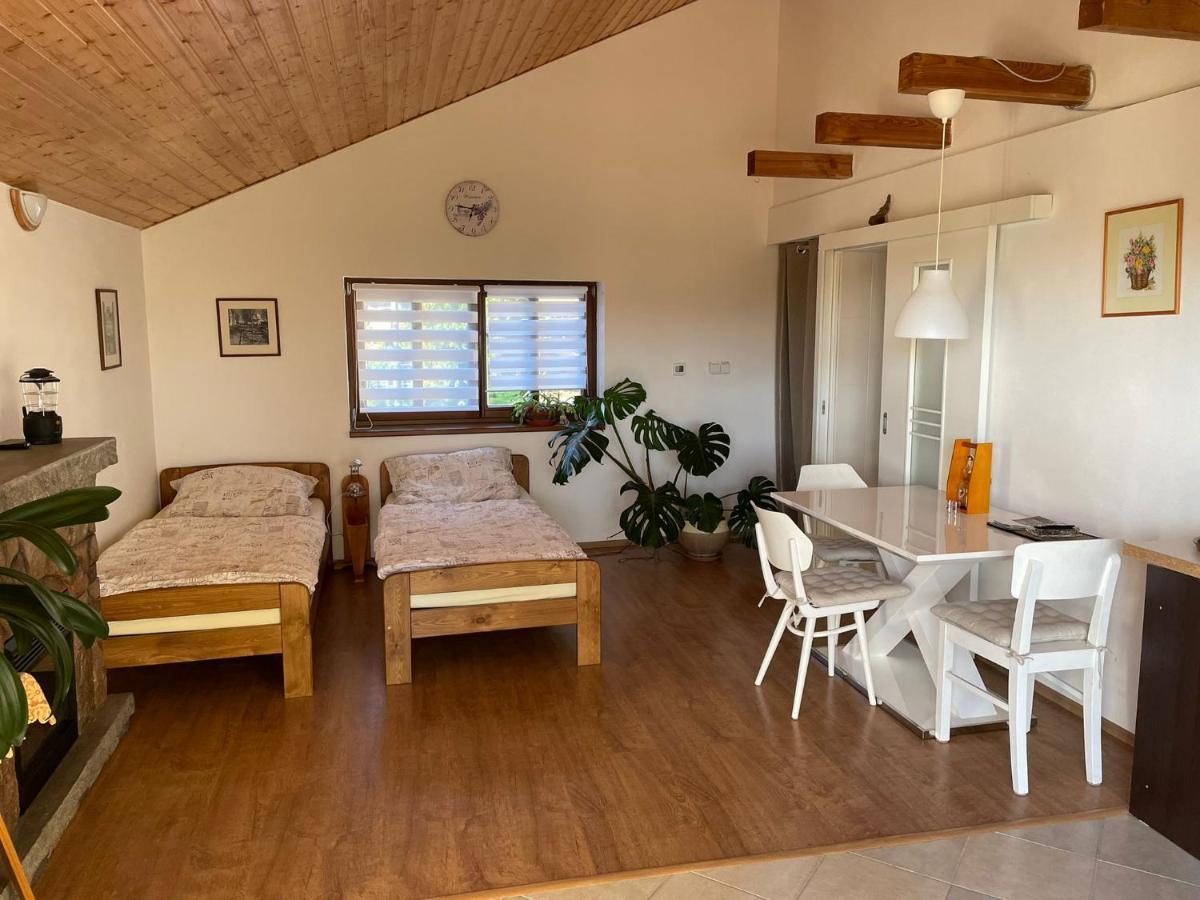 Apartman V Podhuri Jizerskych Hor Zelezny Brod 外观 照片