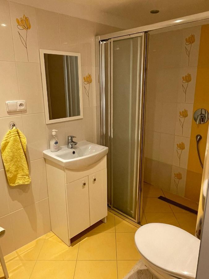 Apartman V Podhuri Jizerskych Hor Zelezny Brod 外观 照片